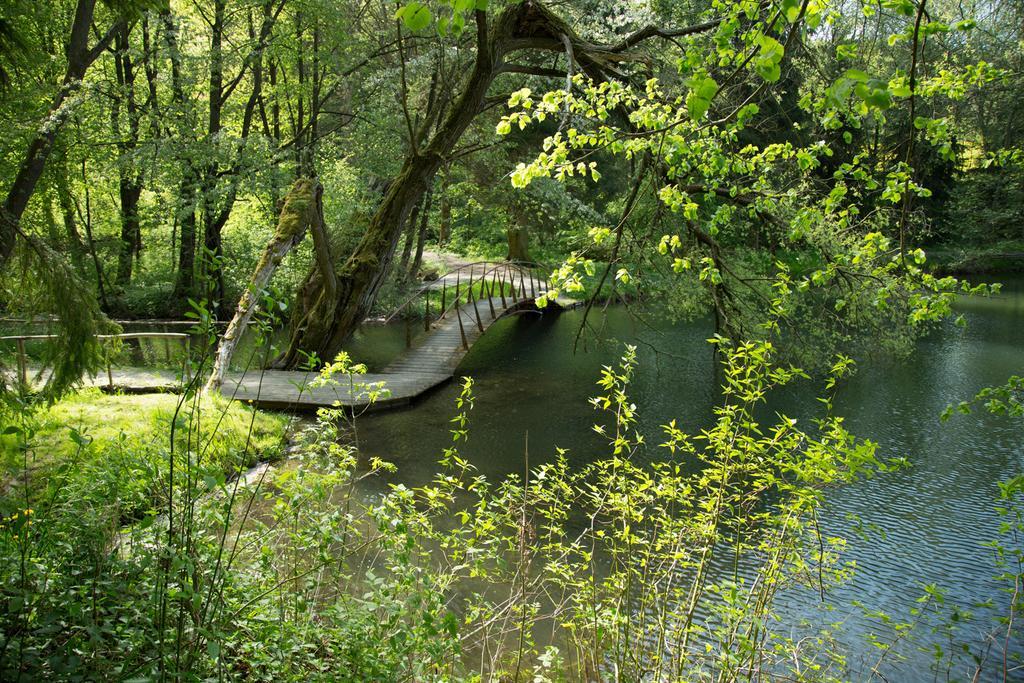 Hotel Reifenstein Kleinbartloff Kültér fotó