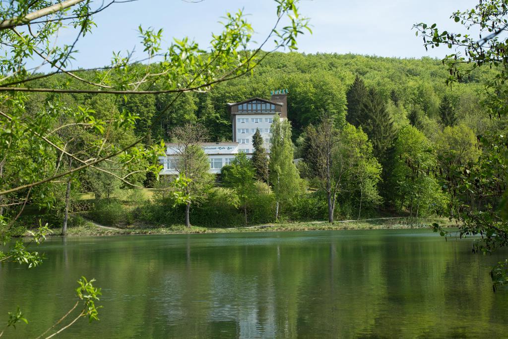 Hotel Reifenstein Kleinbartloff Kültér fotó